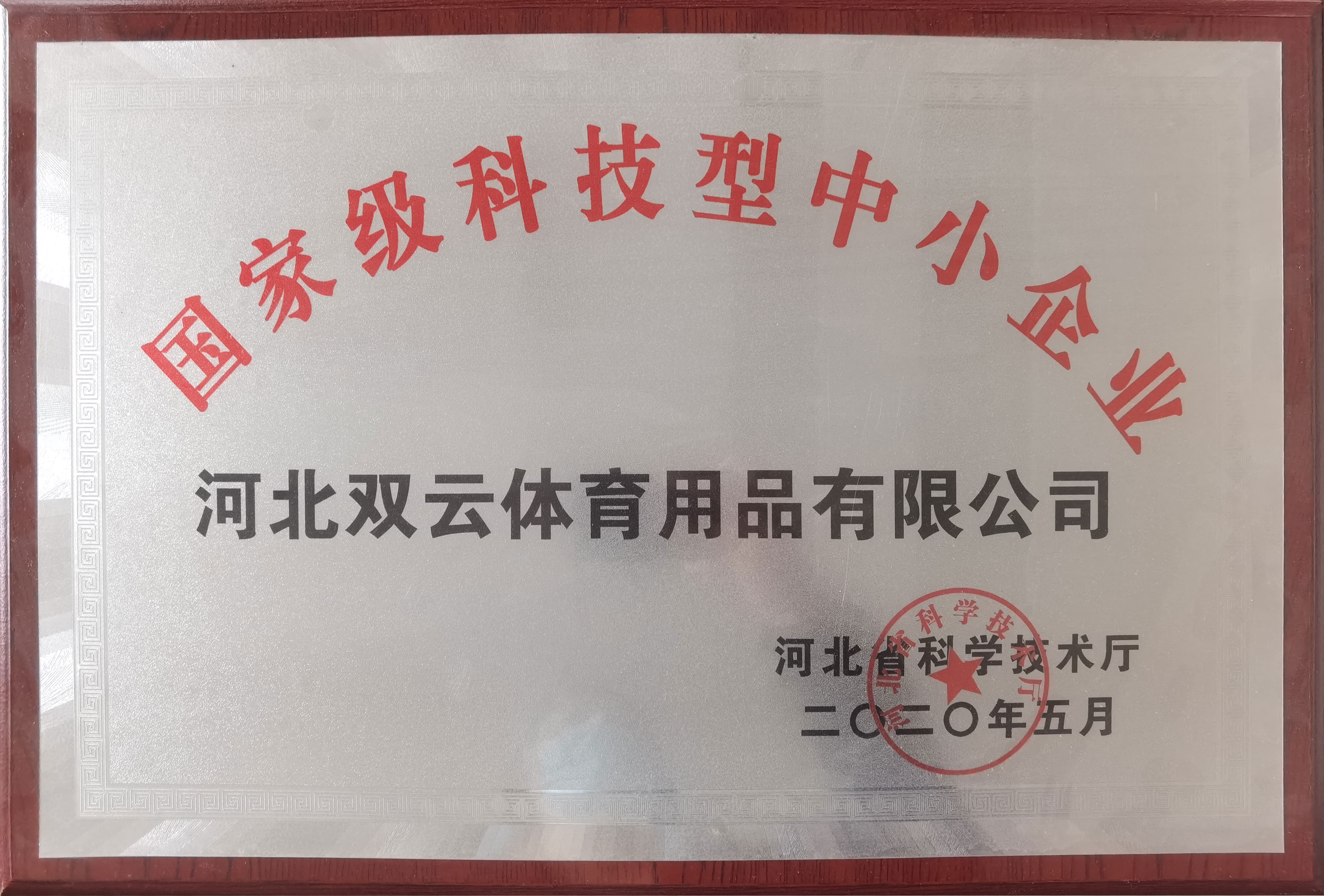国家级科技型中小企业